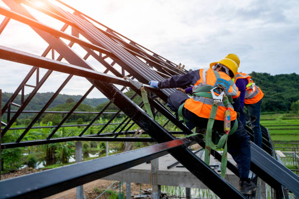Best Residential Roof Replacement  in Edinburg, TX